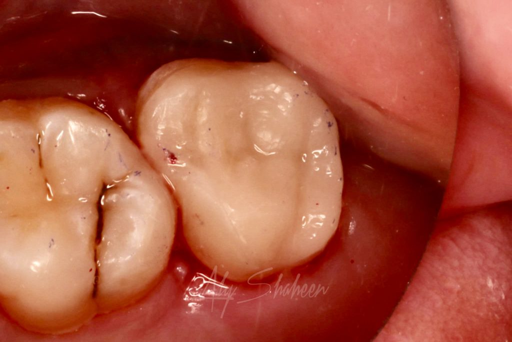 WhatsApp Image 2025-04-20 at 17.10.29_f67a00f1