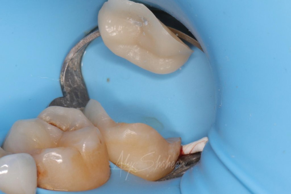 WhatsApp Image 2025-04-20 at 17.16.58_136c886d