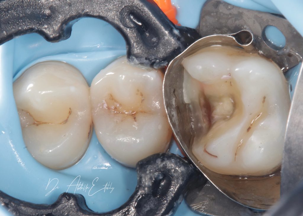 884E117D-7889-4697-BFD7-CB1AAEDBE504