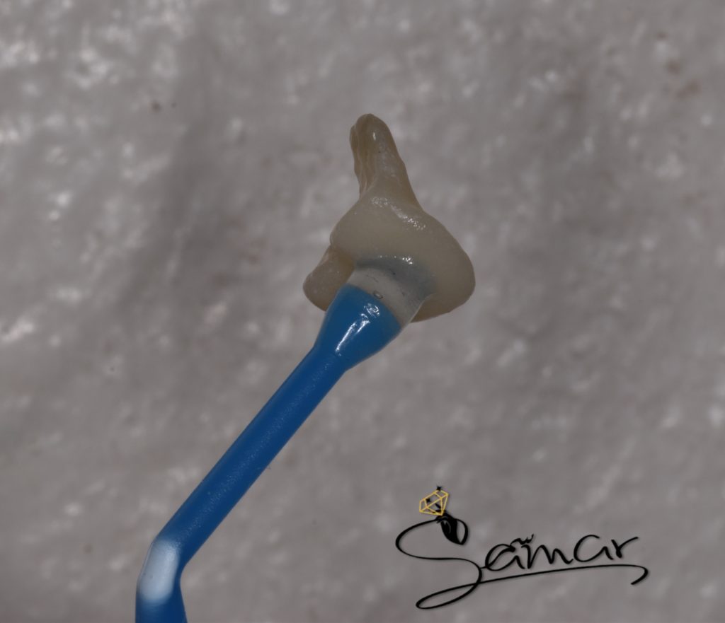 inbound3593530264174767565