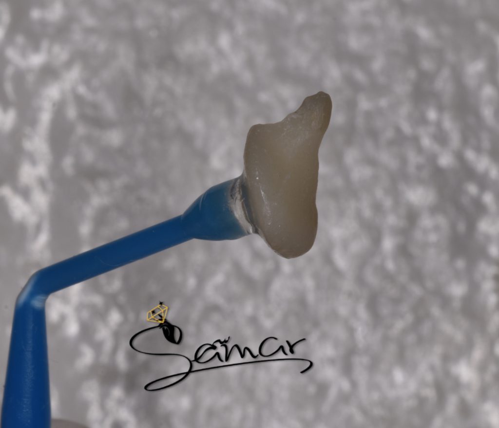 inbound3902292064309821760