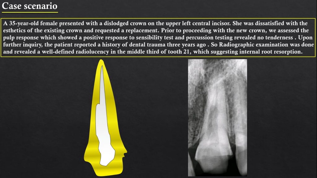 WhatsApp Image 2025-07-19 at 00.22.48(3)