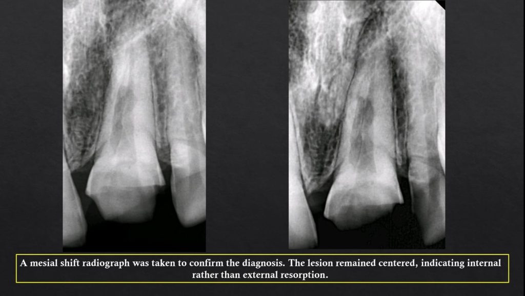 WhatsApp Image 2025-07-19 at 00.22.49