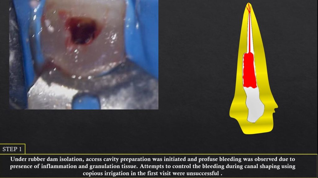 WhatsApp Image 2025-07-19 at 00.22.49(1)