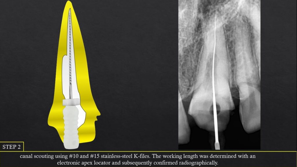 WhatsApp Image 2025-07-19 at 00.22.49(2)