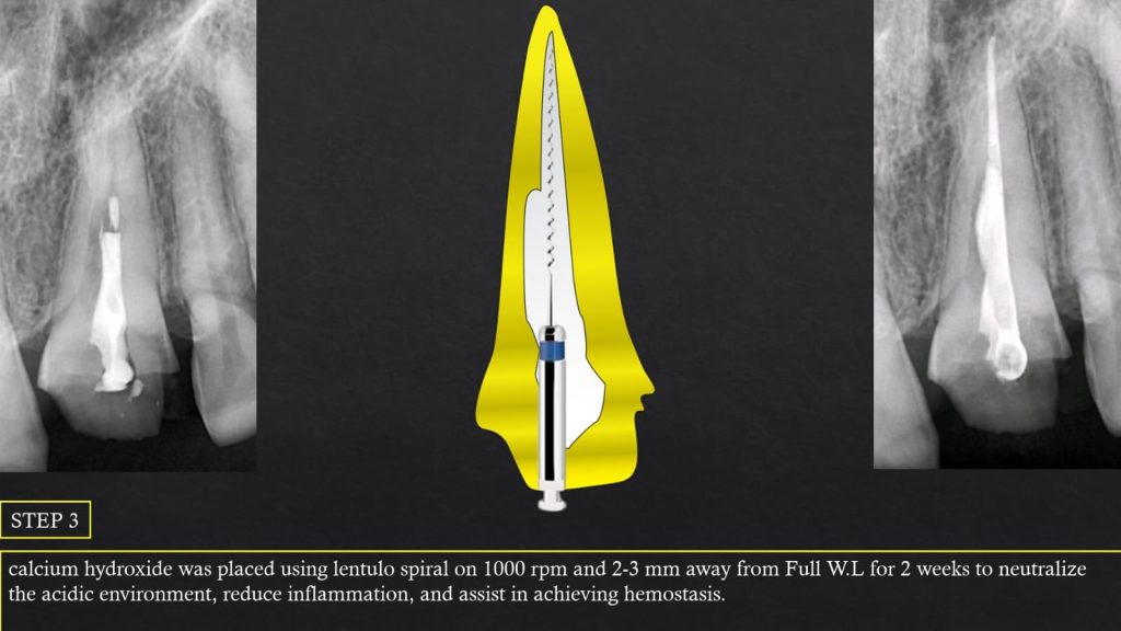 WhatsApp Image 2025-07-19 at 00.22.49(3)