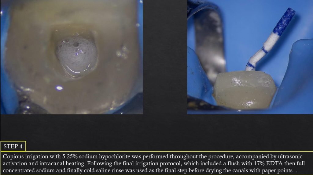 WhatsApp Image 2025-07-19 at 00.22.49(4)