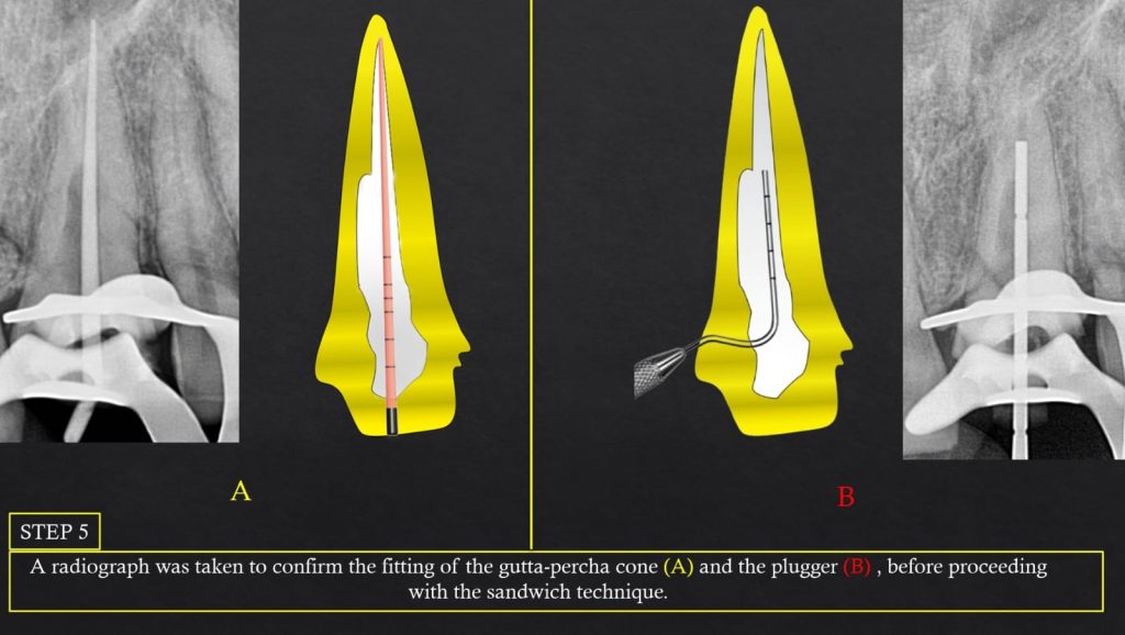 WhatsApp Image 2025-07-19 at 00.22.49(5)