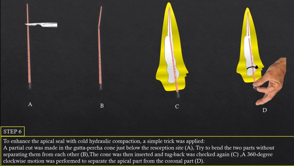 WhatsApp Image 2025-07-19 at 00.22.50(1)