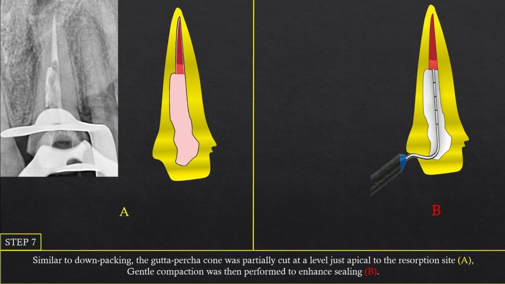 WhatsApp Image 2025-07-19 at 00.22.50(2)