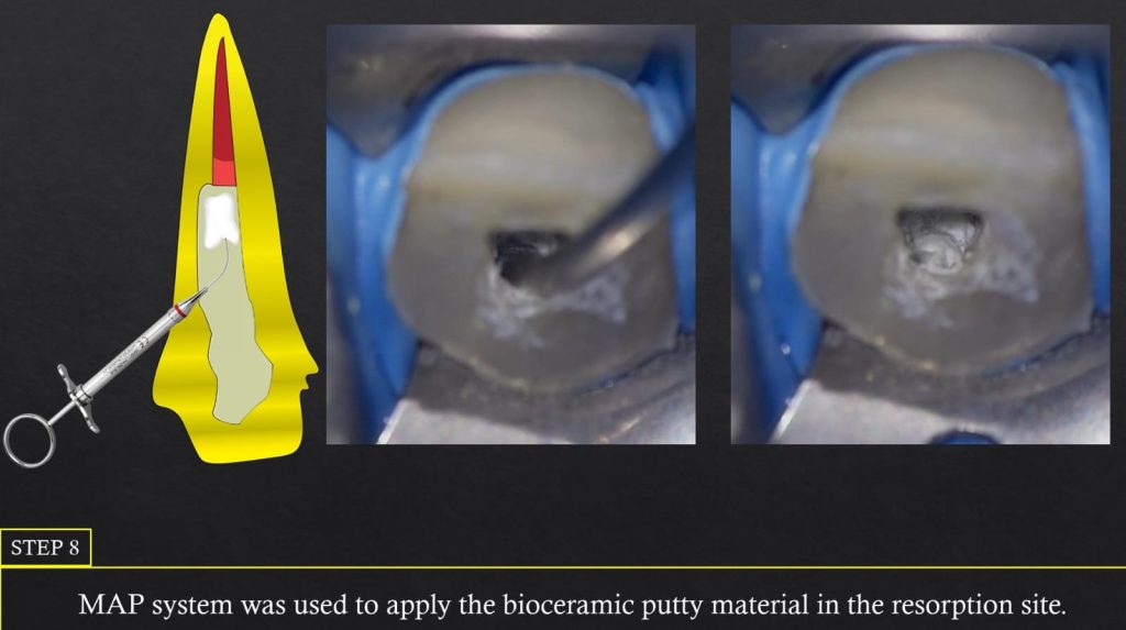 WhatsApp Image 2025-07-19 at 00.22.50(3)