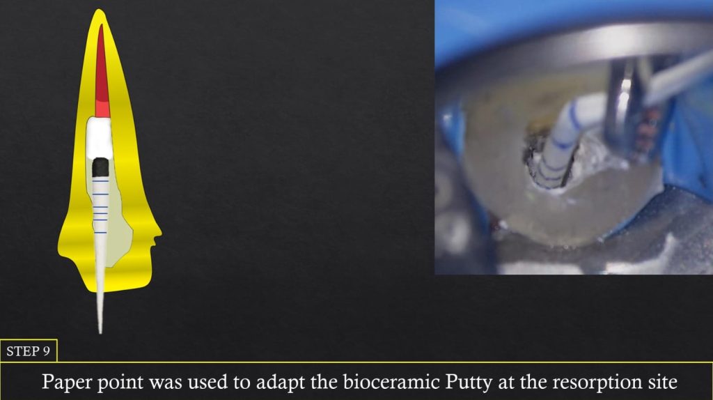 WhatsApp Image 2025-07-19 at 00.22.50(4)