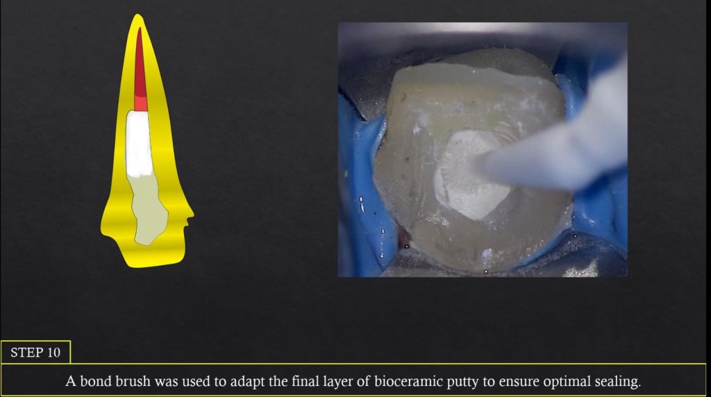 WhatsApp Image 2025-07-19 at 00.22.51