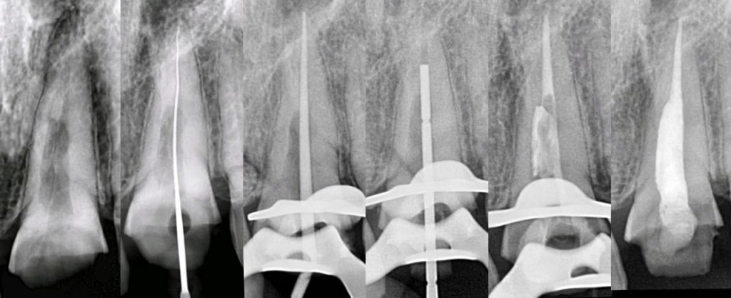 WhatsApp Image 2025-07-19 at 01.06.56