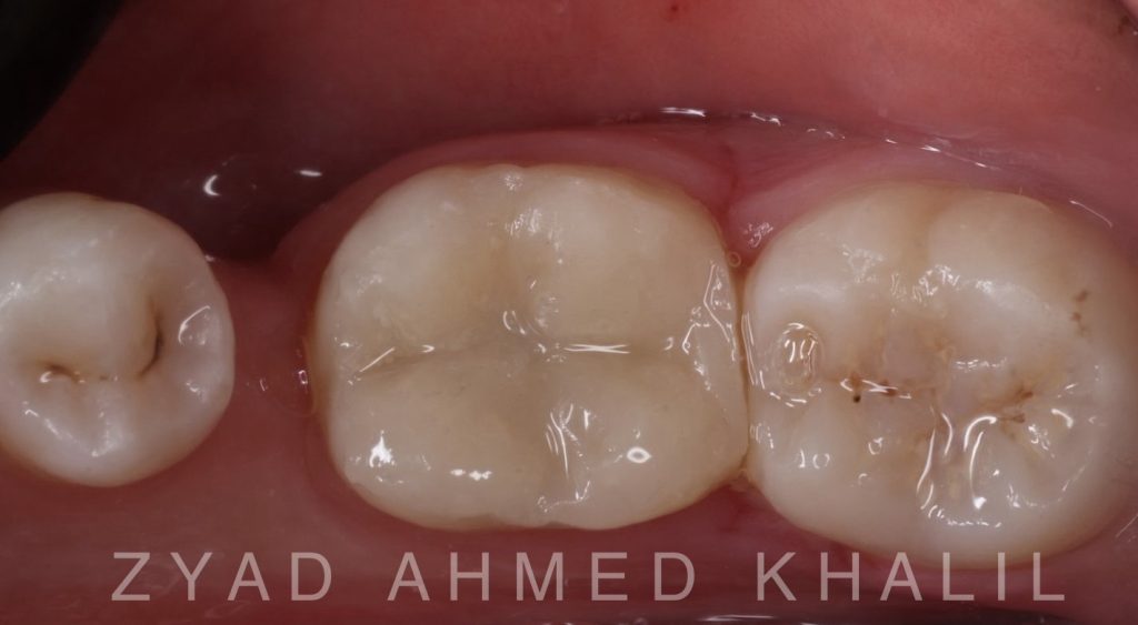 0f02e32c-30ea-4ef7-ae5a-5e34f93ef529