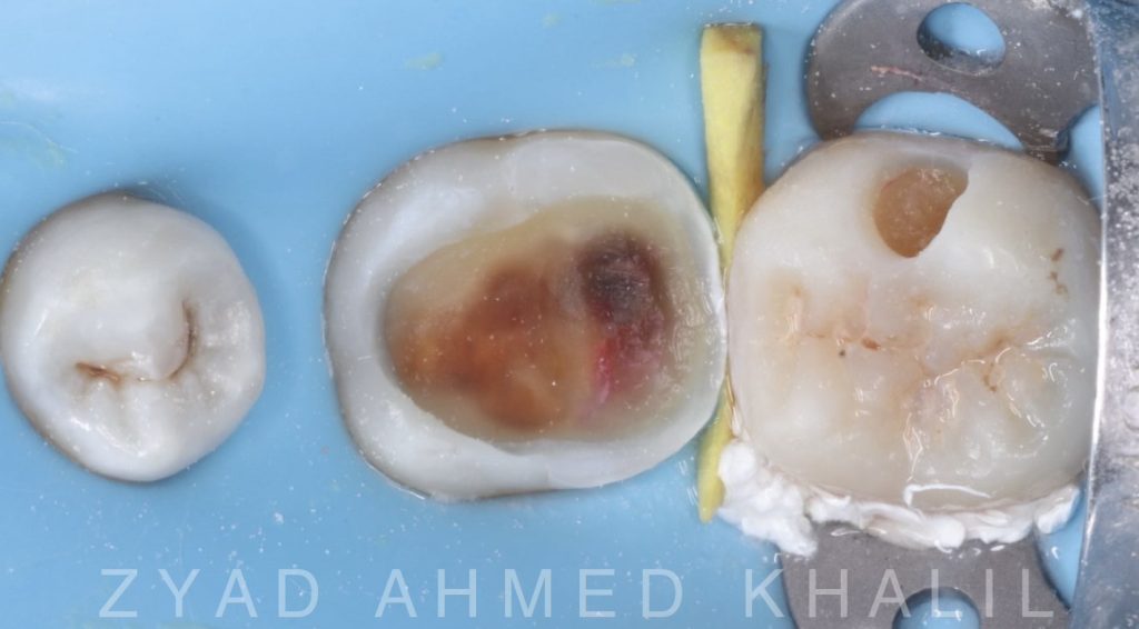 50dc544d-f9d6-4029-a546-47cb8a0d0107