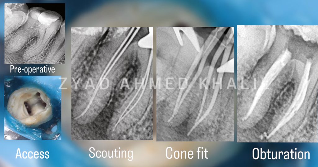 5D8636FD-AE10-4435-AB75-00CFC5B72A9E