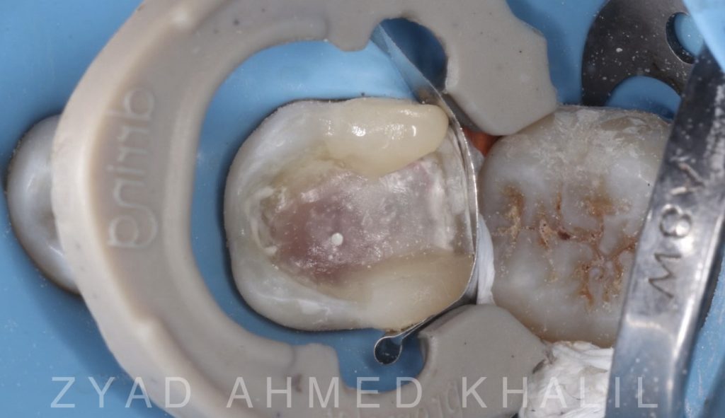 75ff3fbe-de66-4514-b0ae-8117a4446d26