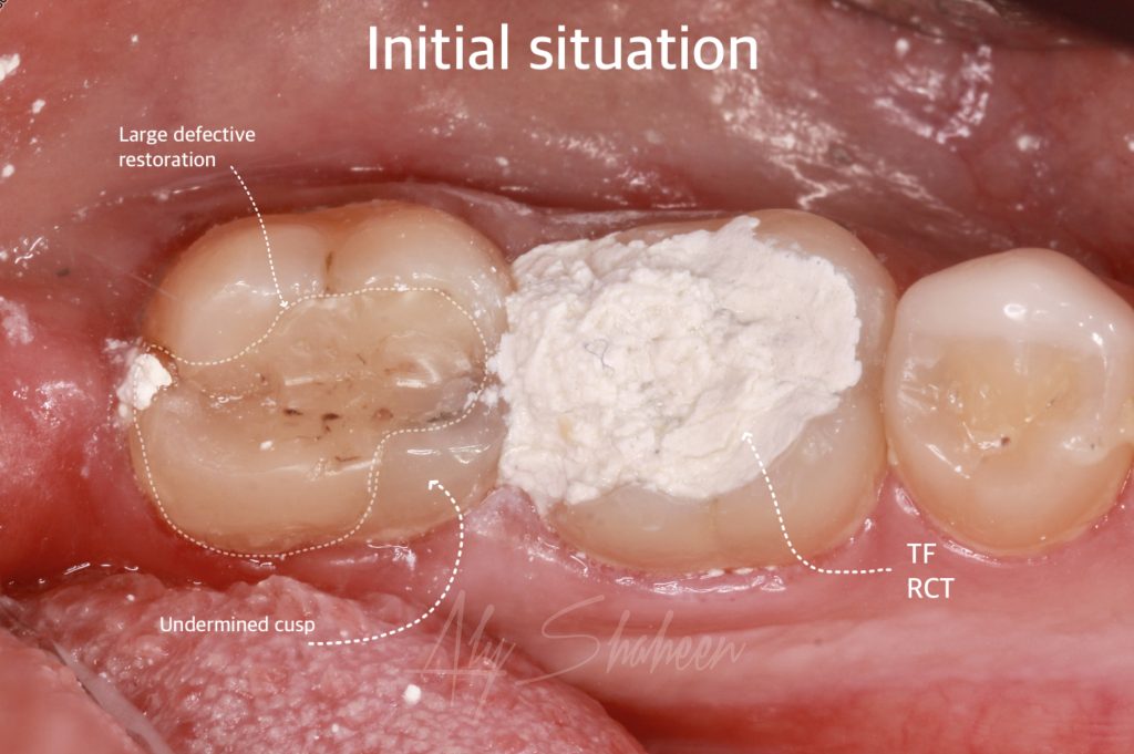 created by photogrid