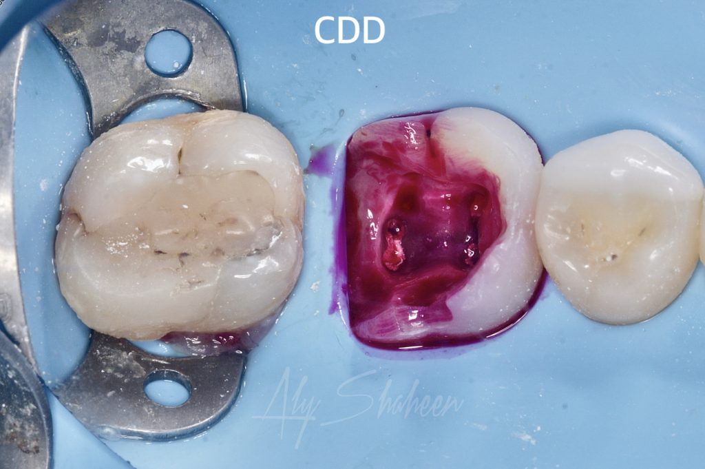 created by photogrid