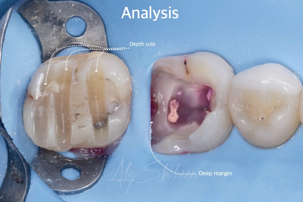 created by photogrid