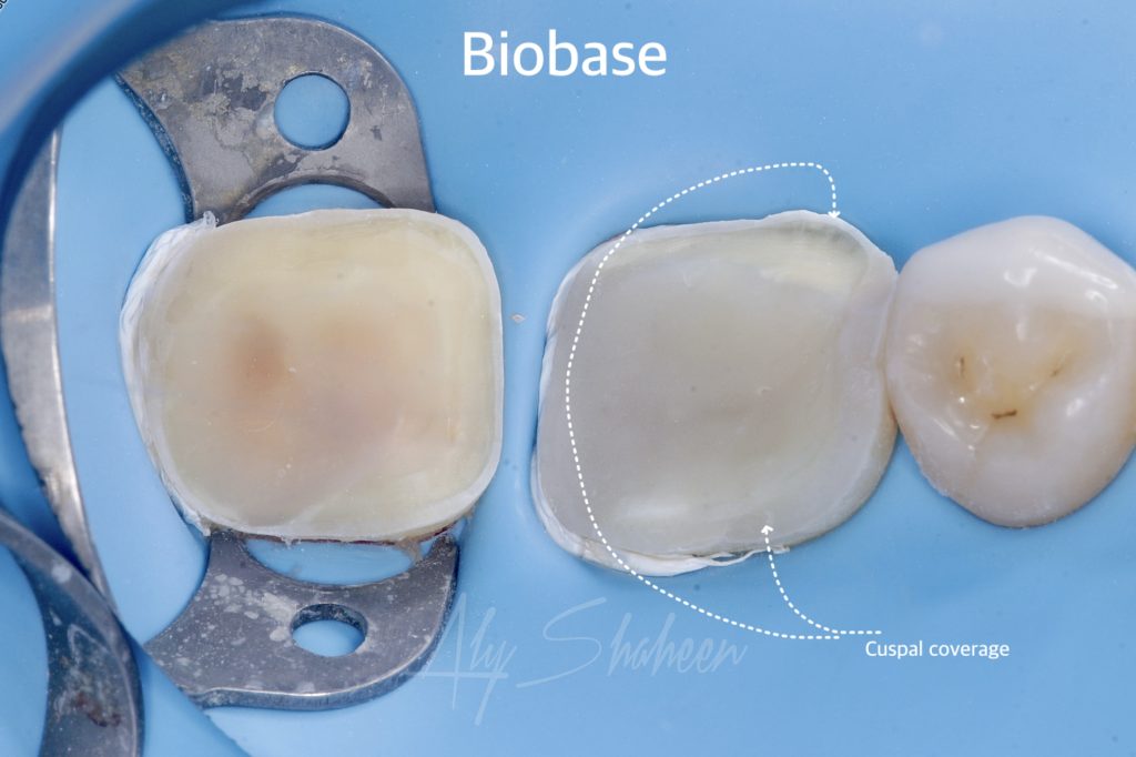 created by photogrid