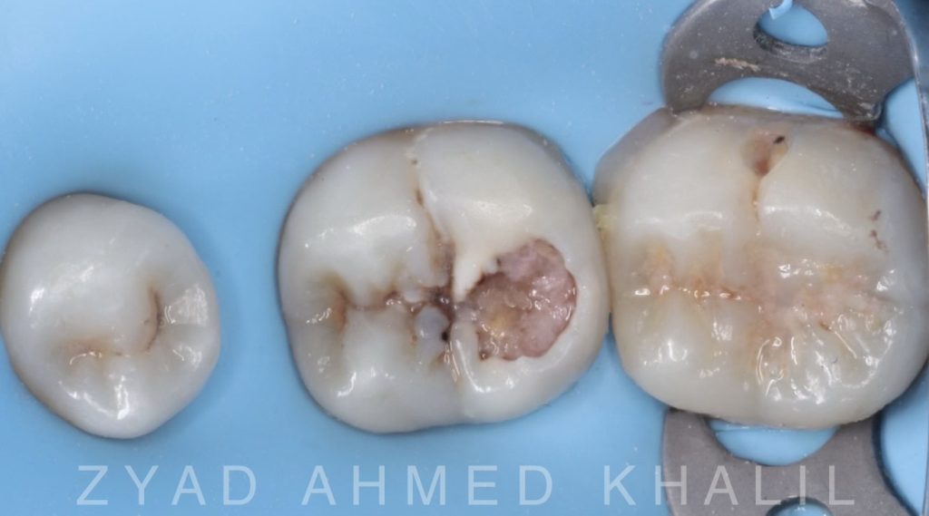 b037fa66-465c-4249-89e6-f4bcb68b3f1b