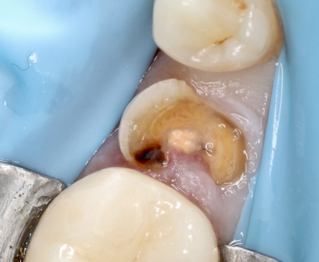 62AC80C5-6A37-4393-891A-BC99506FC340