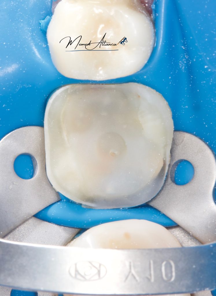 C726A85C-04BC-4E0D-9716-6B9F0A5363FF