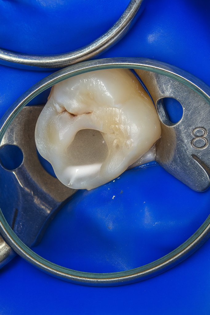 0A6268EC-7E41-44E6-B8BB-4863047D5893