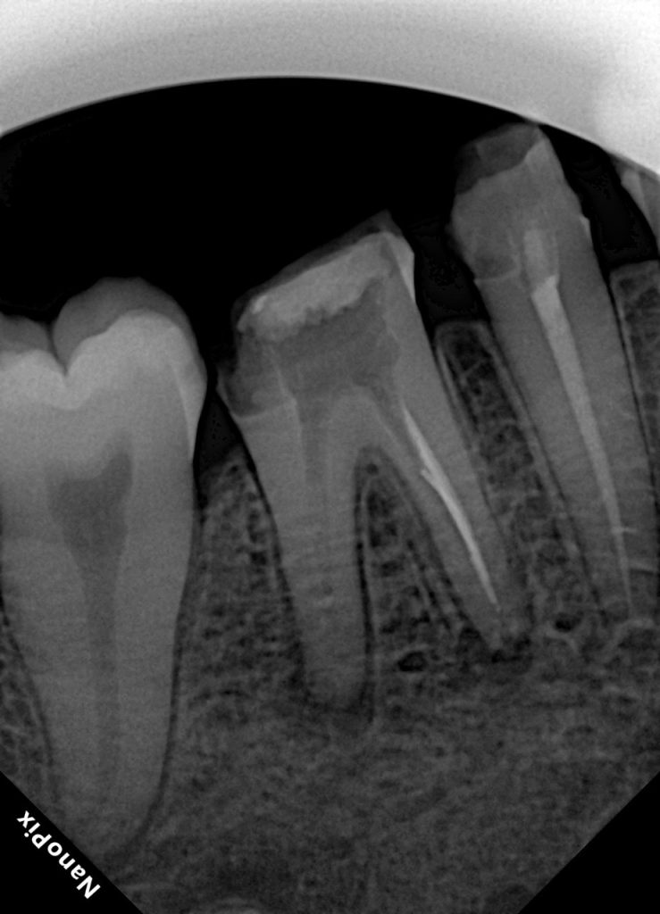 0b39a84a-35f6-4580-8658-db700b6d319a