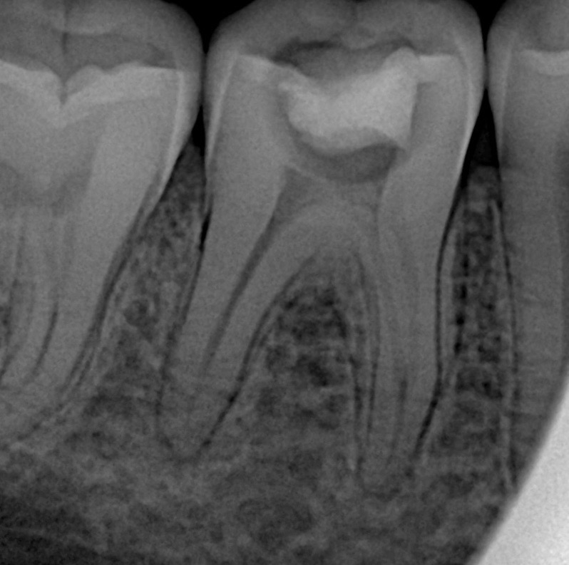 0dd1ec2d-7a9f-495c-bf8a-2f2708d73b38