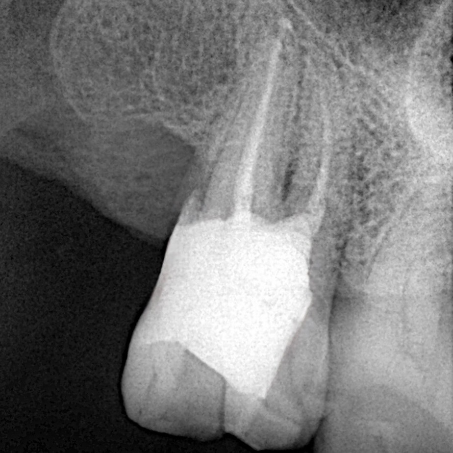 15B99552-904D-4258-A289-15469056791F