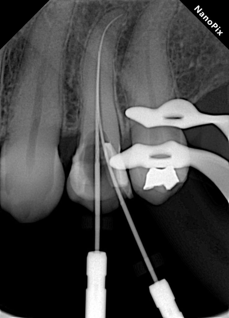 1b924e9b-7470-4a8e-99df-35b28db2426f