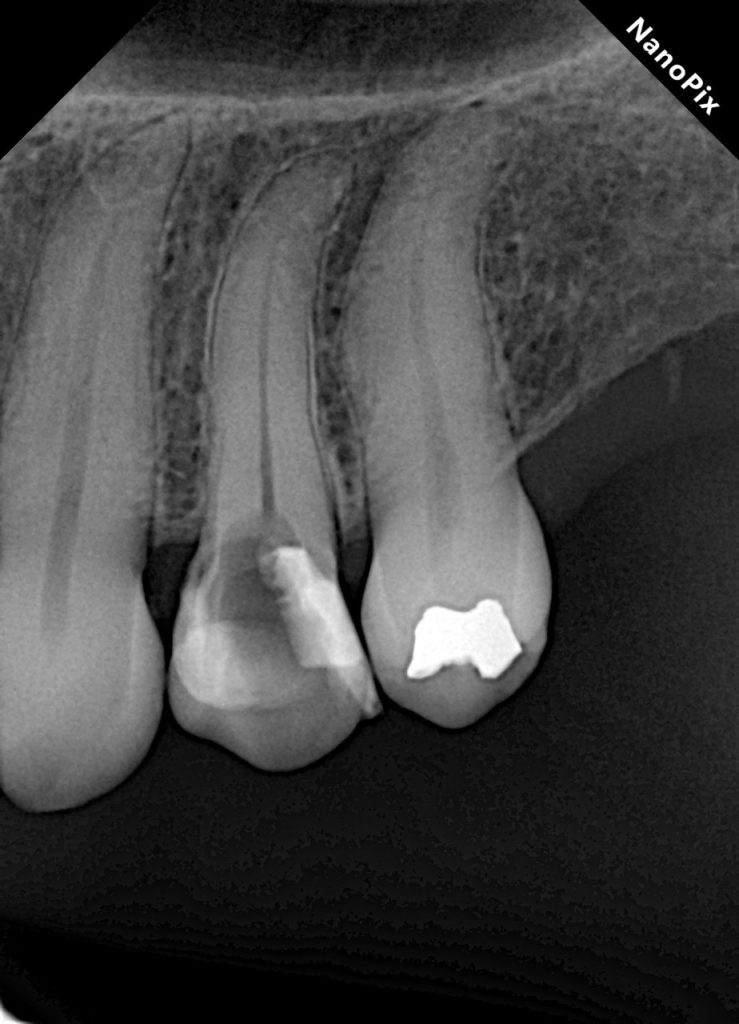 25c18ffa-36d6-4faf-93a3-f2412e921242