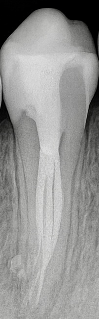 2B3B9E68-2CDD-41E7-A7F1-6C0409E289CD