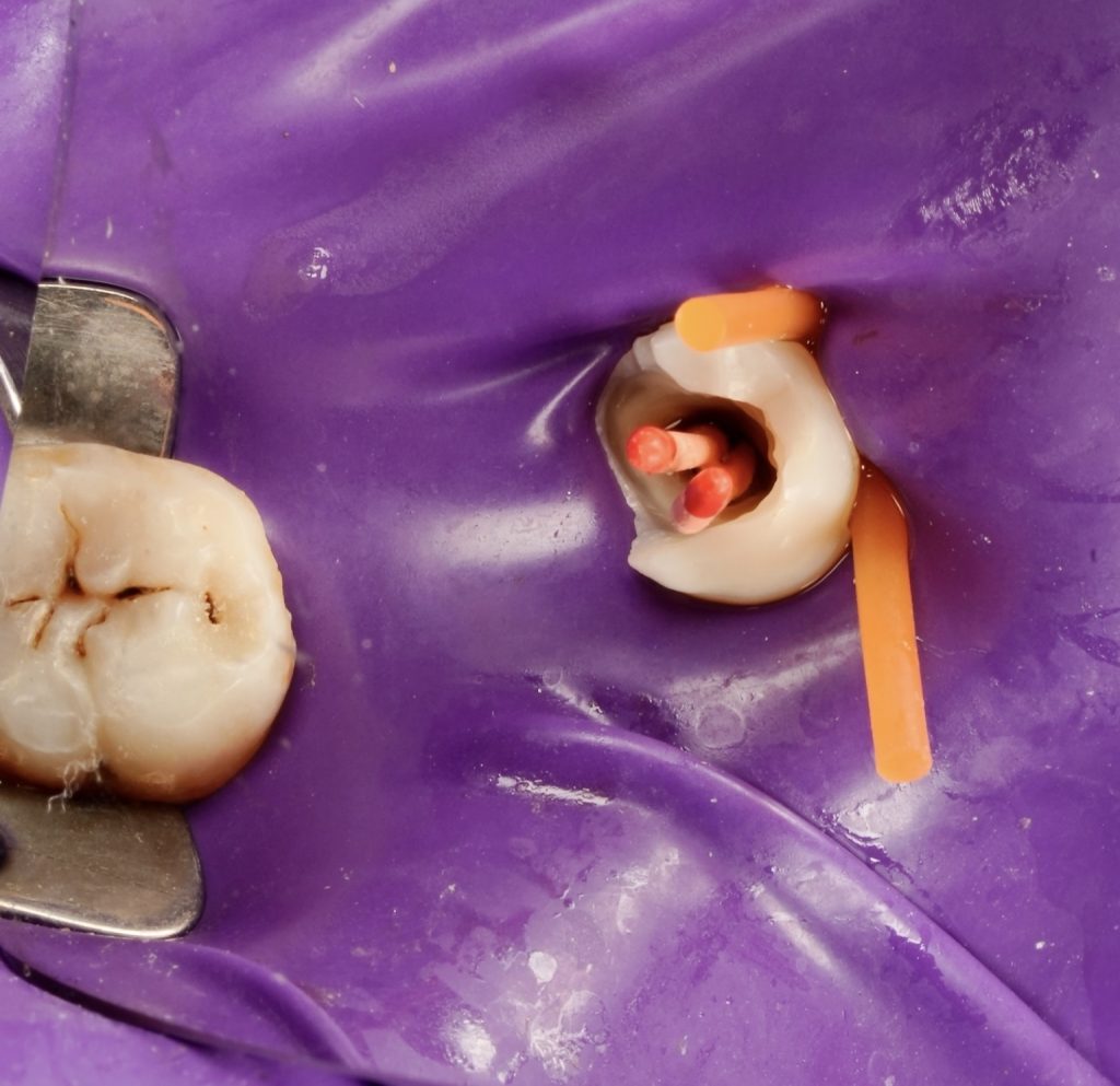 2C67164B-E3A4-44C0-B499-D04BA369D995