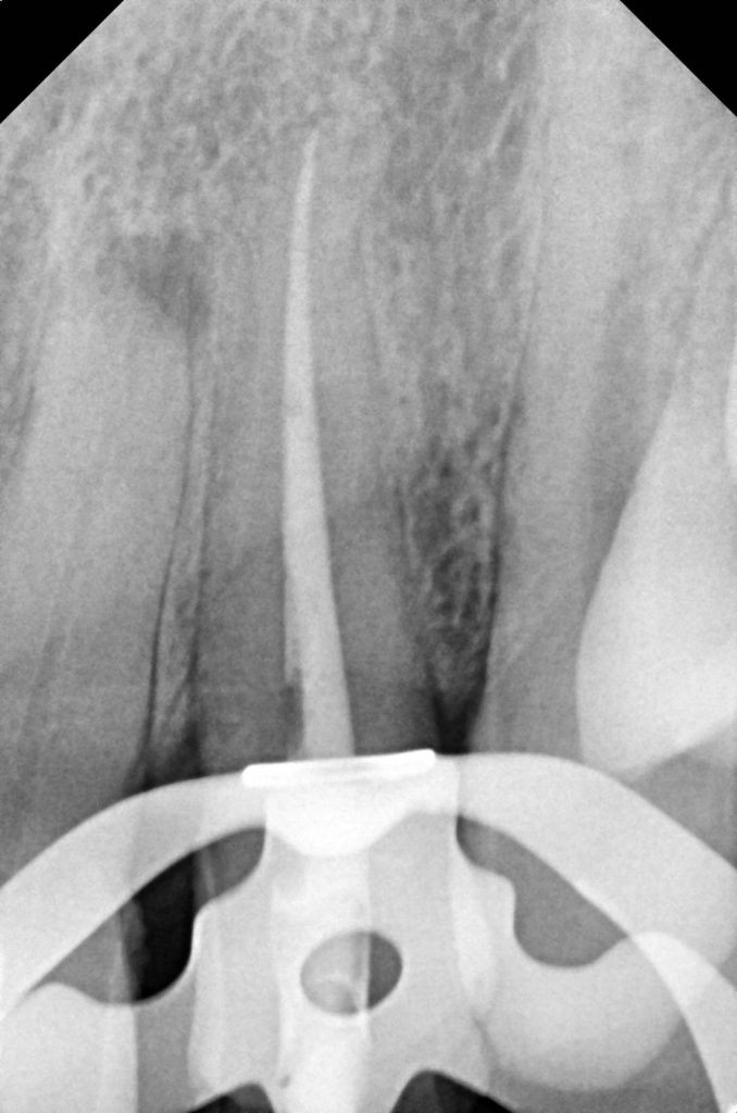 2bdfdfe5-cf2a-4f7a-b29a-16e5ed9b9b6e