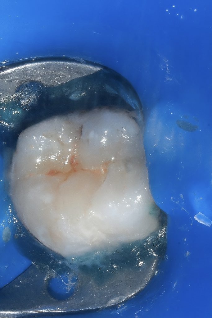 33D42E76-6D3C-4D01-8123-71B876D0543D