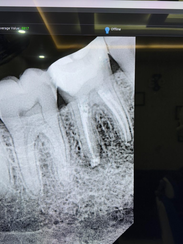 396851e4-83a0-4369-b281-d7ff64489b0c