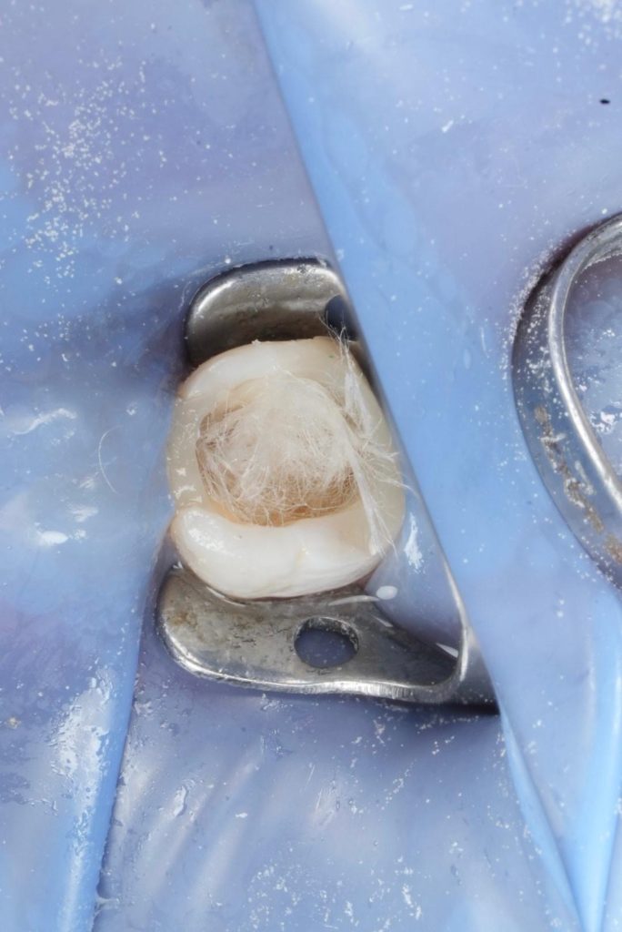 445f38f7-8cae-4770-8010-d19170adab16