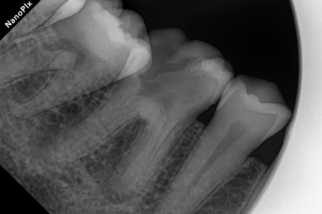 49E9D138-6F33-4812-9EA9-175906EA813D