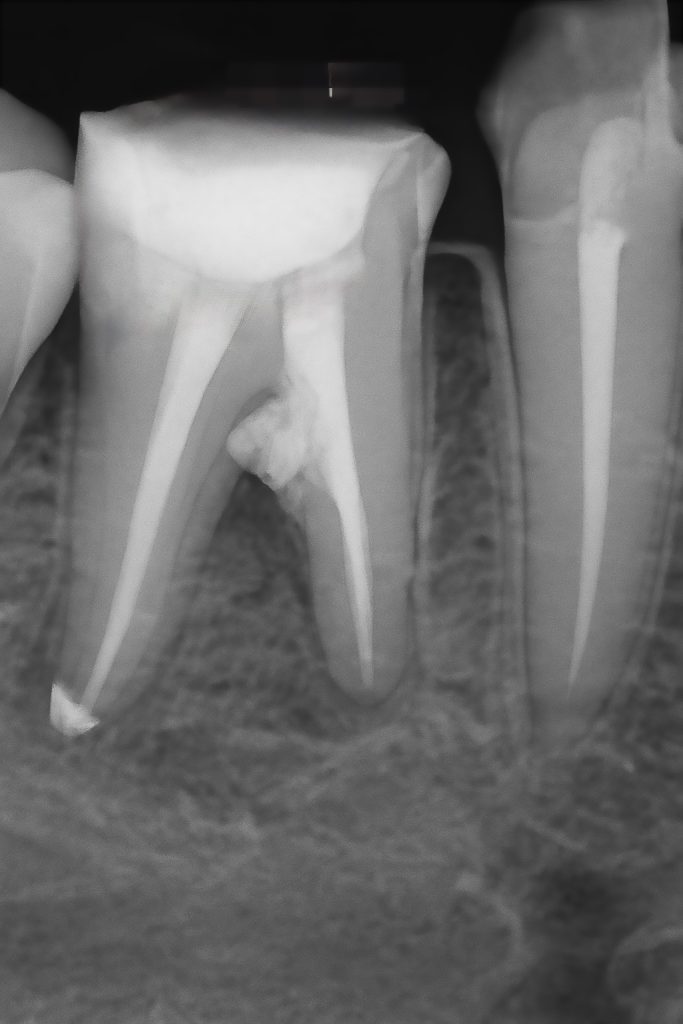 4C39E0E9-E6CE-48D8-A1CD-A7BB95128B07