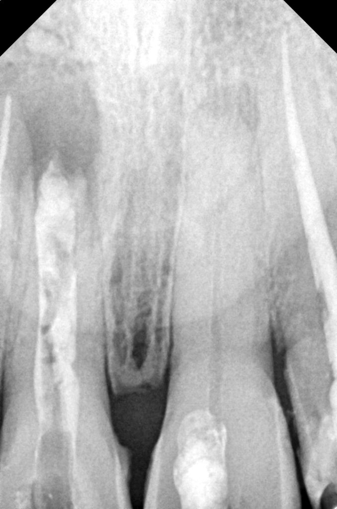 55762606-42a2-43be-b84b-a9811788d91b