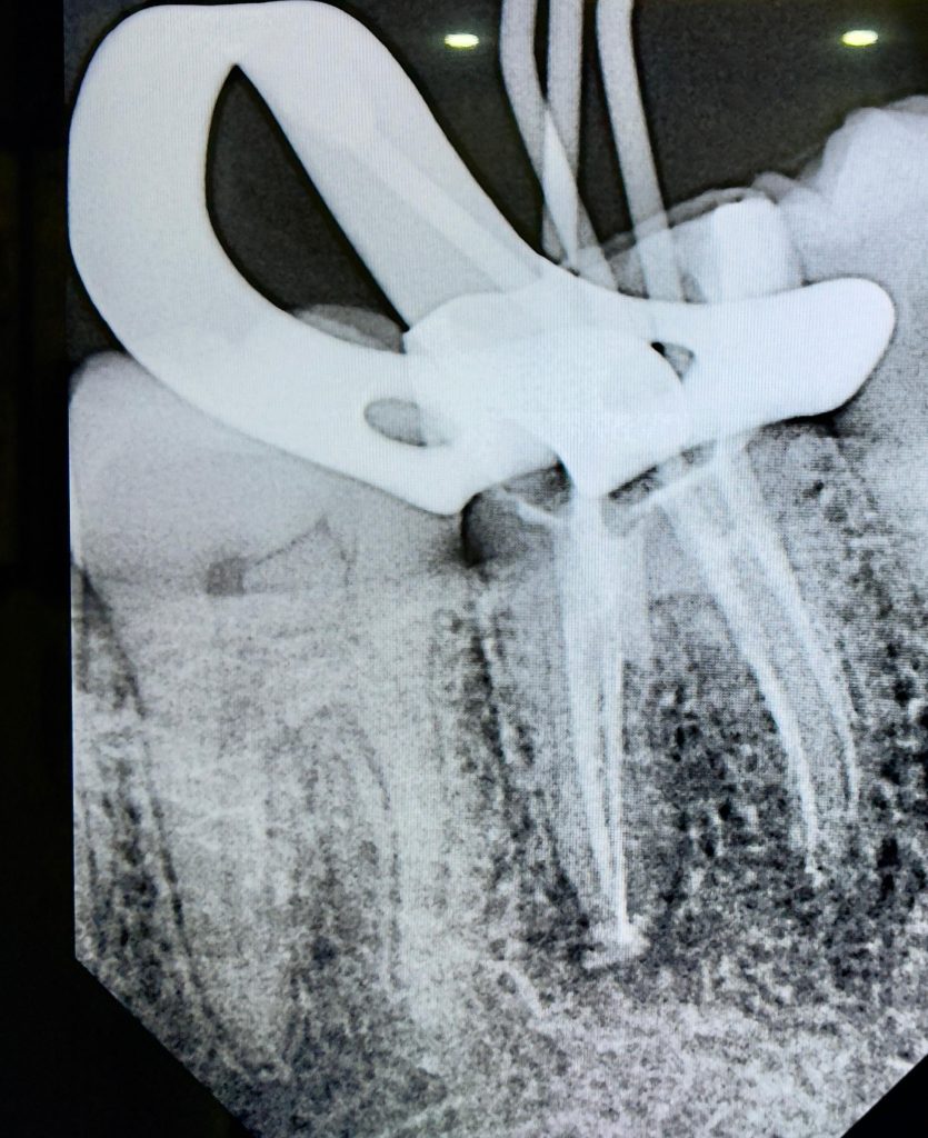 5cca0fd4-704c-4962-b896-c64bc533e2c6