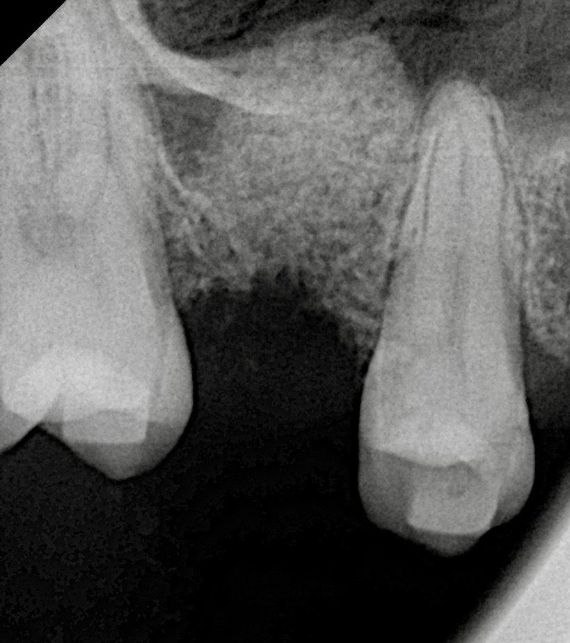 65e1c769-7048-4546-ab00-57c1f3a37859