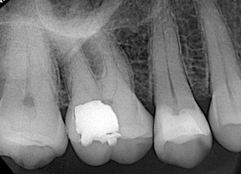 77953767-22c1-4817-bcda-b4909e69efe9