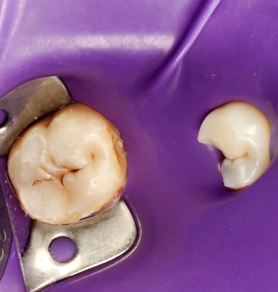 799706D1-FACB-4838-B697-3C5D876734F2