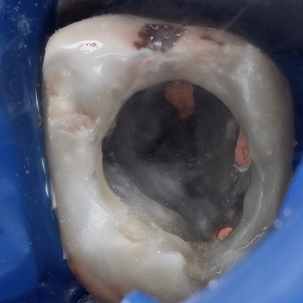 7F6C000E-EEDC-43B7-8855-FE2F347D0FBC