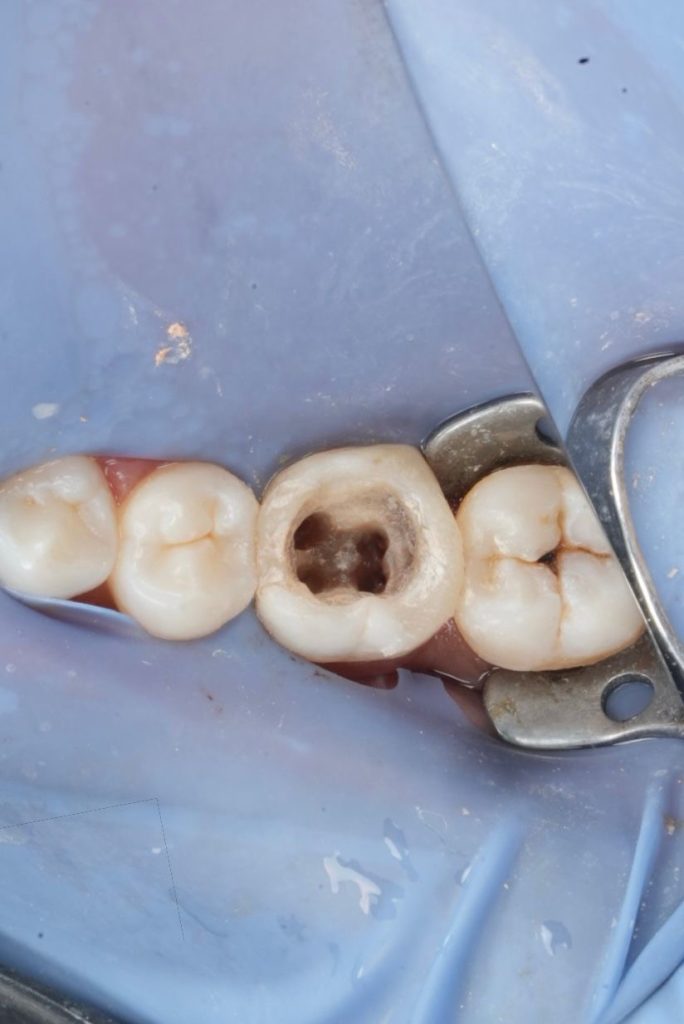 82b2a1a2-c661-4d25-934f-38d0635fe501